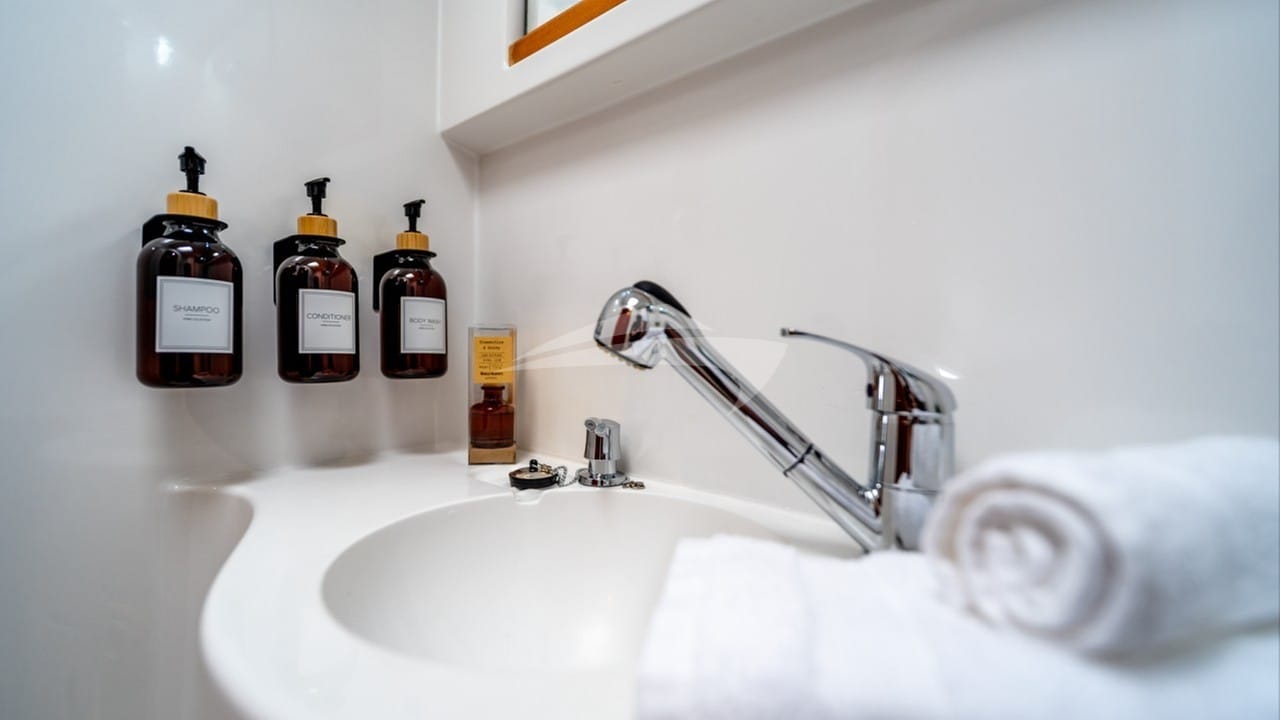 Ensuite Head & Shower