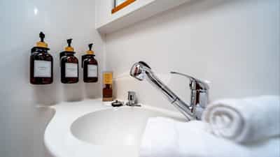 Ensuite Head & Shower