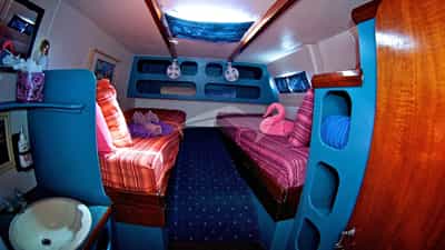 Twin Cabin