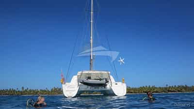 Dive from the yacht