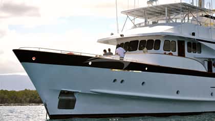 BELUGA 34m motor yacht charter, photo 6