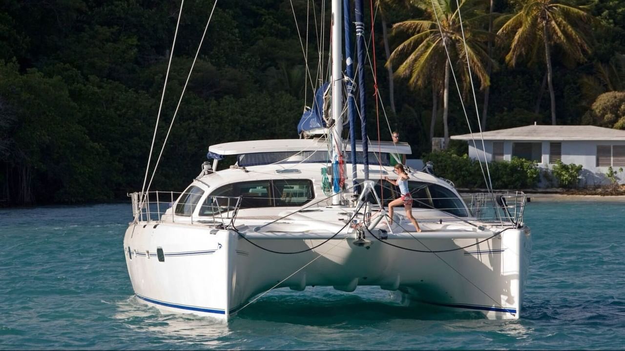 Skipping across the bow tramps!