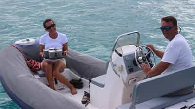 Tender Cocktails