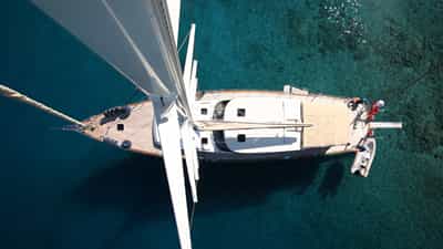 Bird's-Eye View