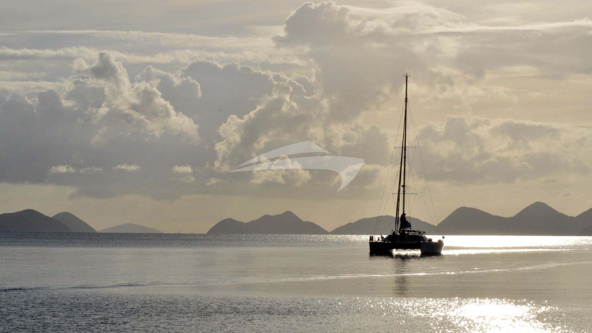 Cat and the Fiddle in the afternoon sun