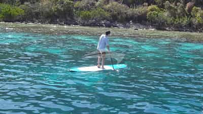 Stand-Up Paddleboards