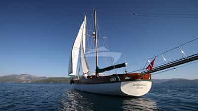 Stern