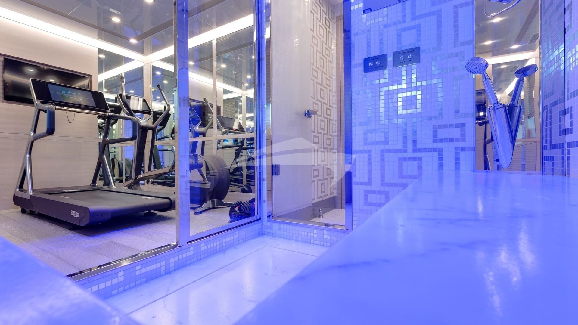 Gym and Aromatherapy shower