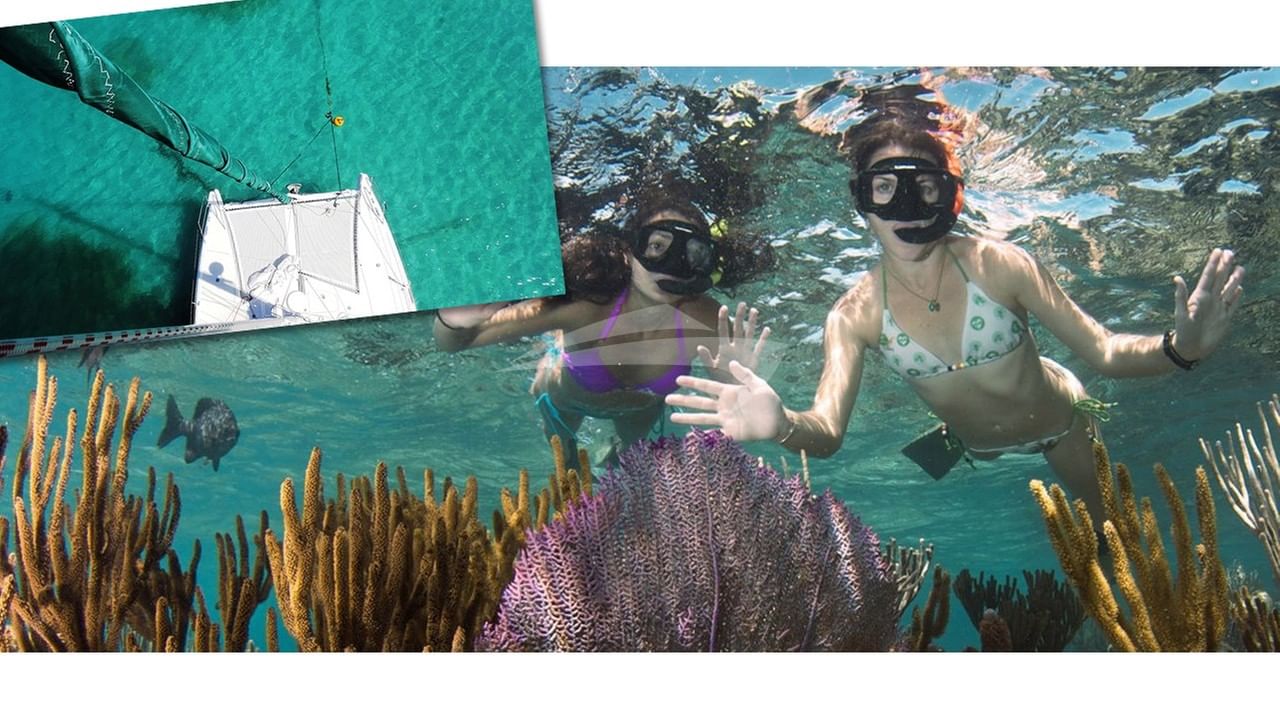 Snorkel the turquoise waters