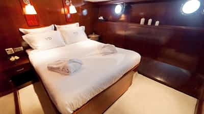 Guest Cabin
