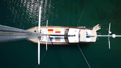 Bird's-Eye View