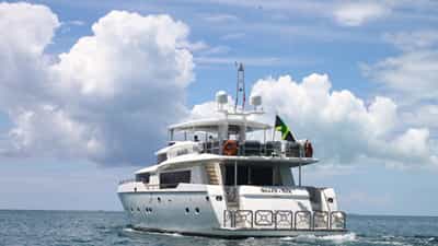 Sixty Six Stern