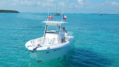29 Everglades