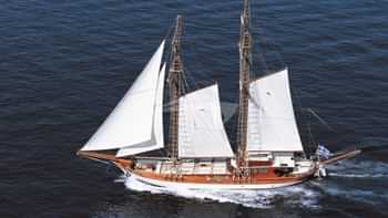 MATINA