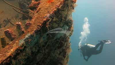 Plenty of diving opportunities