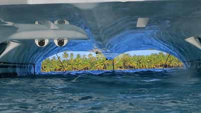 A view from the "tunnel"