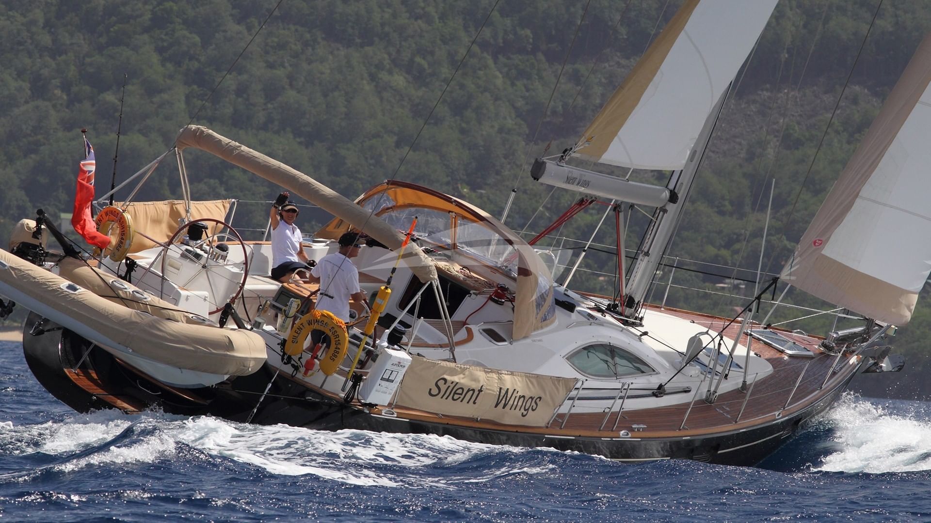 Cruising on Silent Wings