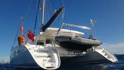 From the waterline