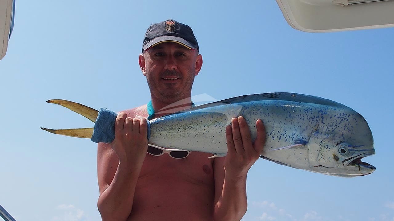Dinner tonight! Mahi-mahi caught from FRENK