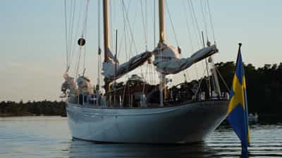 Stern View