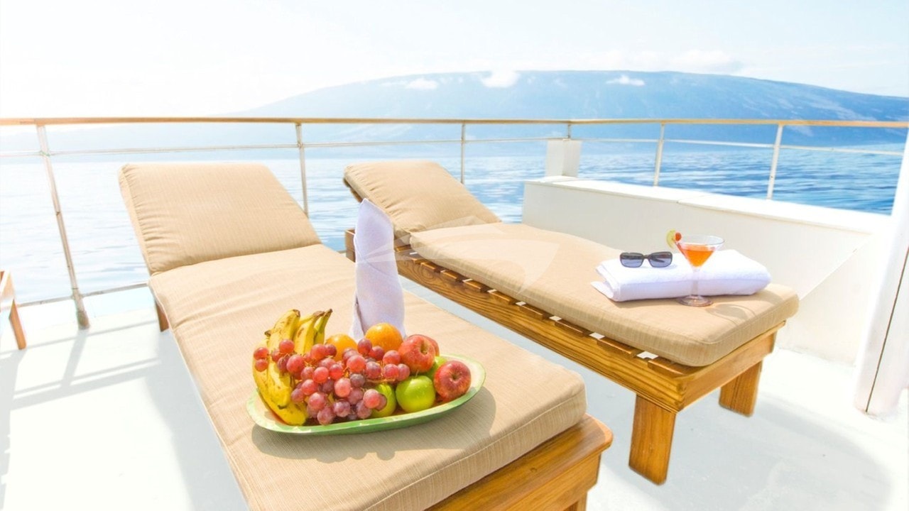 Sun Loungers