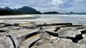 Sea Lion Cove beach