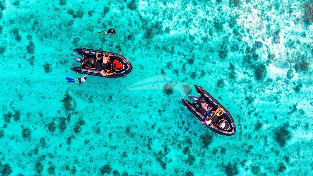 HANSE EXPLORER, photo from the yacht portfolio