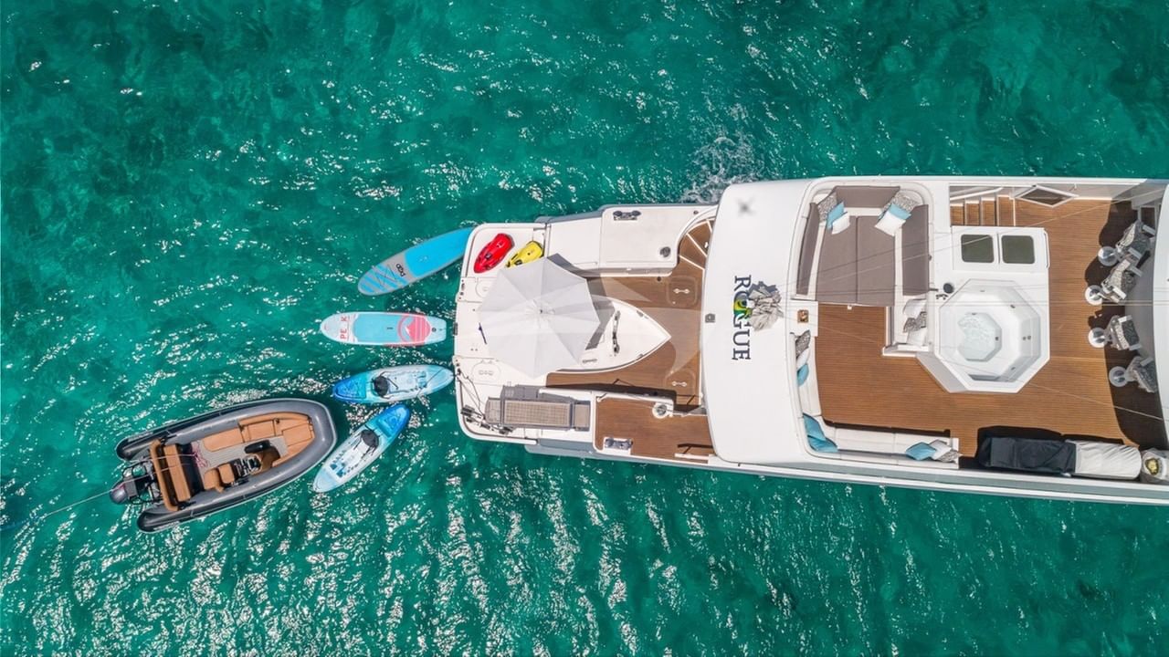 002 ROGUE toys aerial