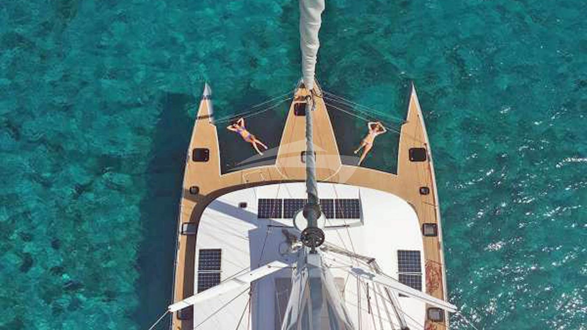 Check out those Trampolines!