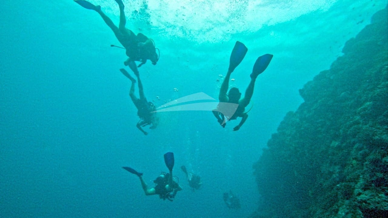 Diving