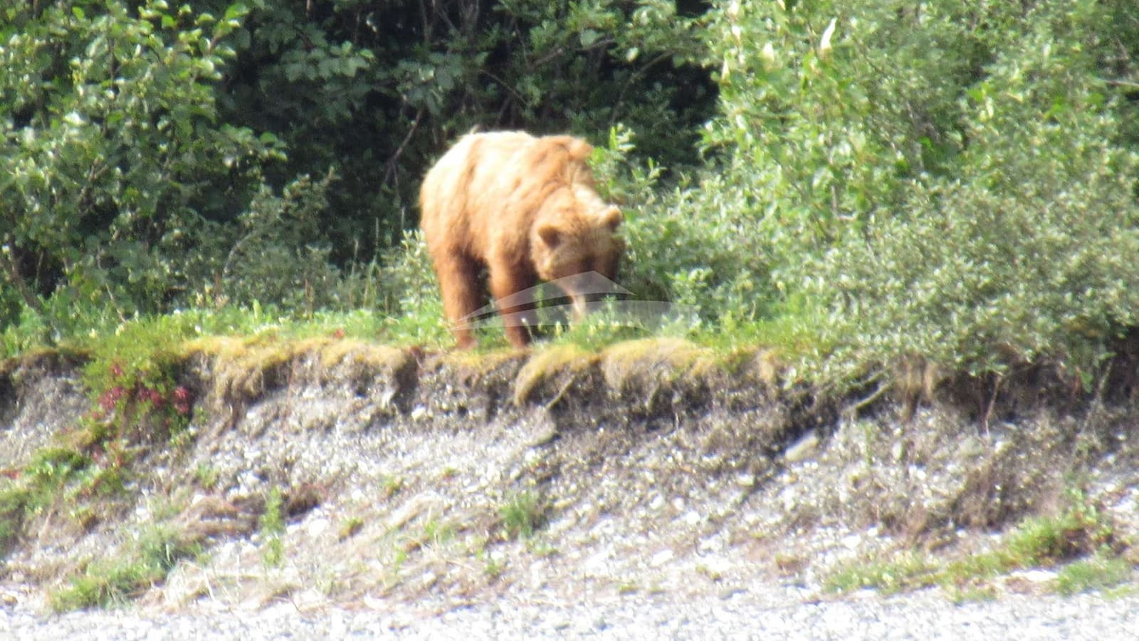 SNOW GOOSE, photo from the yacht portfolio 12