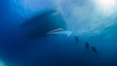 Diving