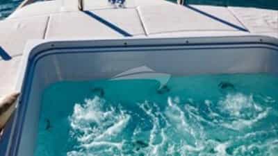 Deck Jacuzzi