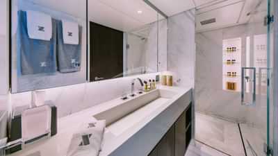 Upper Deck - VIP Cabin Bathroom