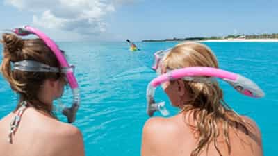 Great snorkeling