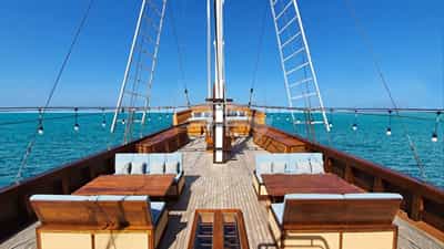 Top Deck