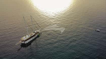 PHOENIX BRONZE 31m sailing yacht charter, photo 6