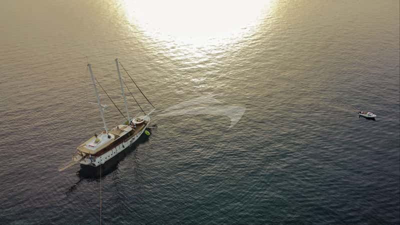 PHOENIX BRONZE 31m sailing yacht charter, photo 6