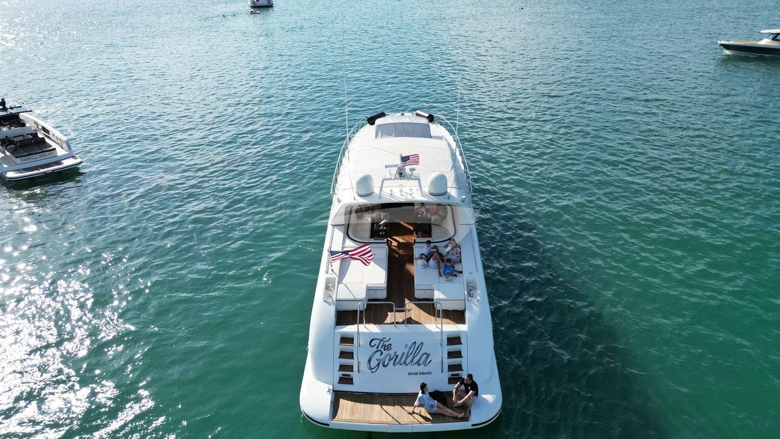 THE GORILLA, photo from the yacht portfolio 16