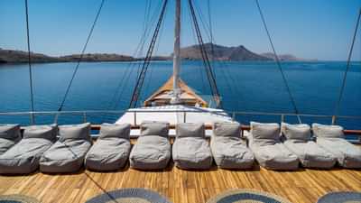 Sun Loungers