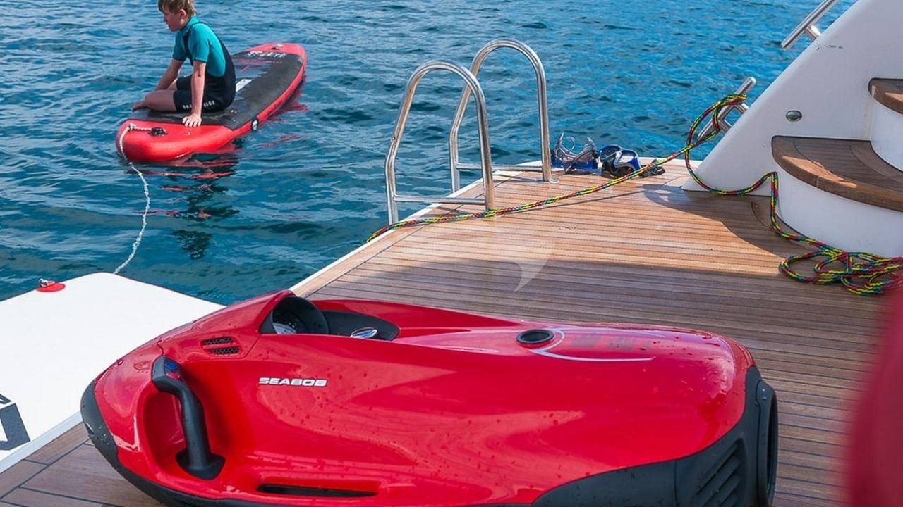 Swim Platform and Water Toys