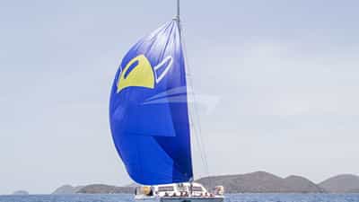 The Viking Spinnaker!