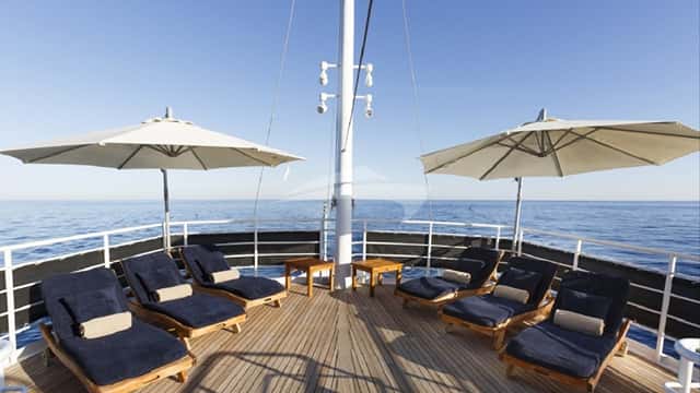 DIONEA yacht charter photo 2