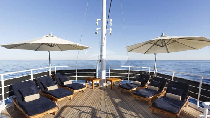 DIONEA 52m motor yacht charter, photo 3