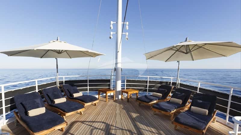 DIONEA 52m motor yacht charter, photo 3