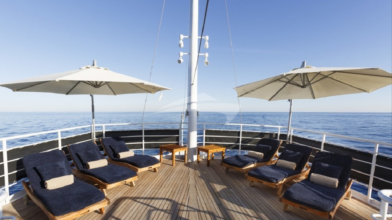 Sun Deck