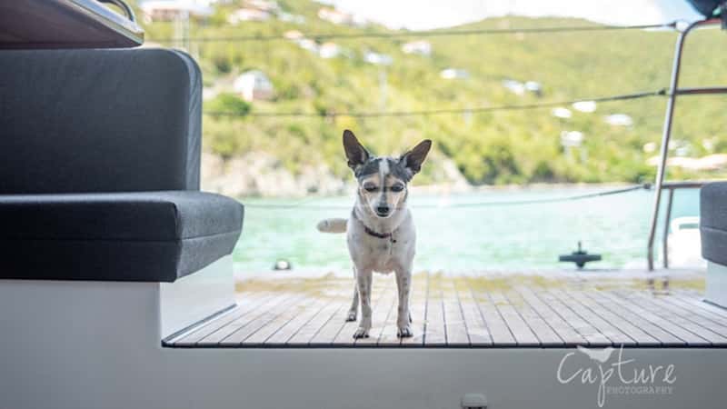 MAKING MEMORIES 16m sailing yacht charter, photo 5