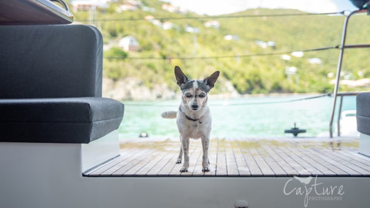 MAKING MEMORIES, photo from the yacht portfolio 4