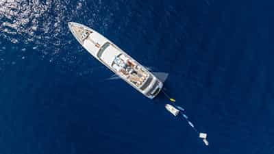 Toys at anchor