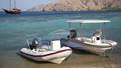 Both Tenders